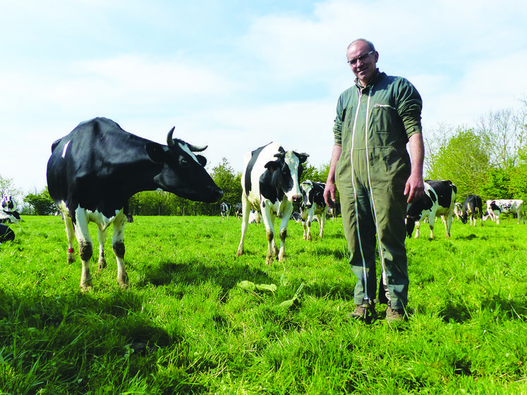 Franck Dehondt (Somme) a doublé sa surface d’herbe et investi dans des clôtures pour fonctionner en pâturage tournant dynamique. Ses laitières valorisent bien mieux le pâturage. 