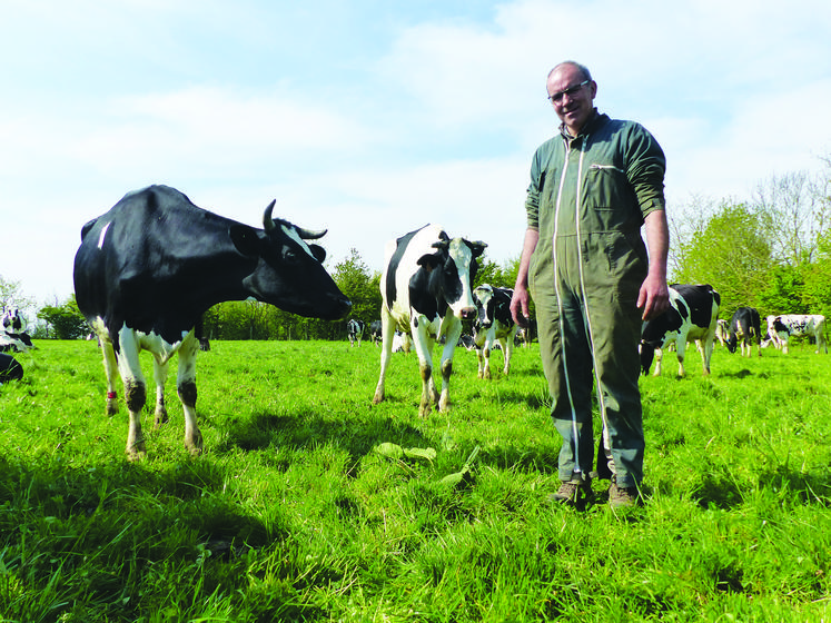 Franck Dehondt (Somme) a doublé sa surface d’herbe et investi dans des clôtures pour fonctionner en pâturage tournant dynamique. Ses laitières valorisent bien mieux le pâturage.