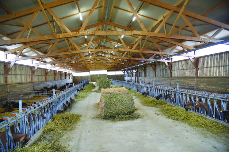 Le choix des matériaux lors d’une construction ou d’une rénovation de bâtiment agricole a son importance en termes de coût, de simplicité de mise en œuvre, mais aussi en fonction de ses caractéristiques propres... Zoom sur le bois. 