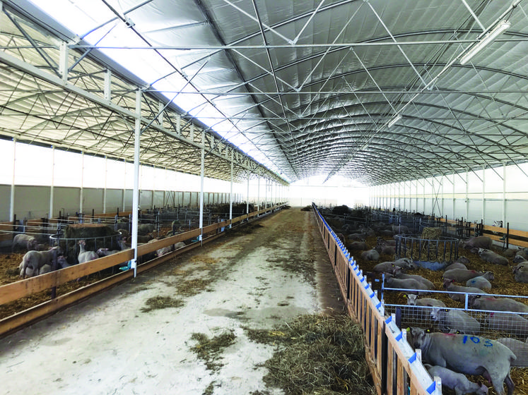 Alternative aux bâtiments d’élevage traditionnels, les tunnels ou multidômes misent sur une ventilation  et une luminosité optimale. C’est aussi pour leur intérêt économique certain, que des éleveurs optent  pour ces bâtiments atypiques.