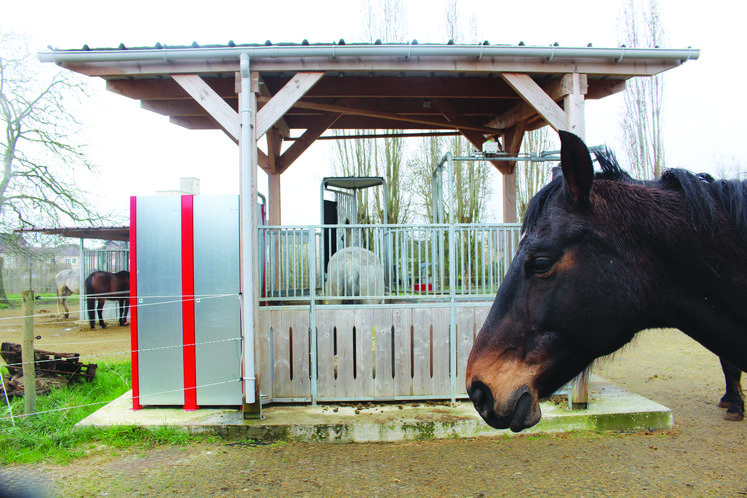 C’est à Estrées-Saint-Denis (60) aux Écuries des platanes que l’on observe une vingtaine de chevaux galoper en toute liberté dans un lieu dédié au bien-être animal. Ce concept s’appelle l’écurie active.
