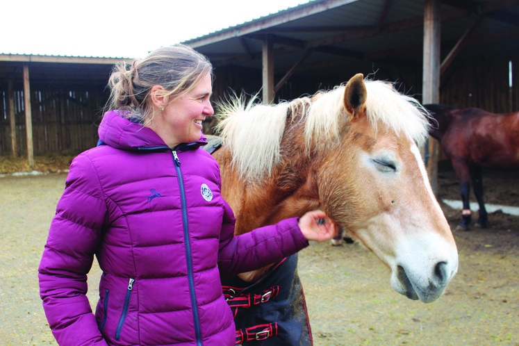 C’est à Estrées-Saint-Denis (60) aux Écuries des platanes que l’on observe une vingtaine de chevaux galoper en toute liberté dans un lieu dédié au bien-être animal. Ce concept s’appelle l’écurie active.