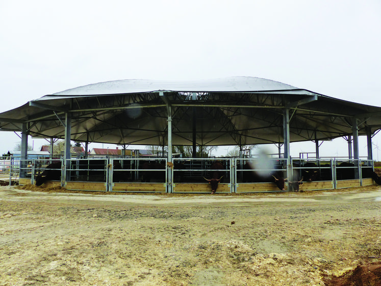 Depuis quelques semaines, à Herleville (80), les Salers de Gonzague et Hélène Proot ont pris place dans  une Roundhouse. Le bâtiment rond, développé par ID Agro, répond aux soucis de bien-être de l’éleveur  et de l’animal, à la facilité de travail et à plus de rentabilité.