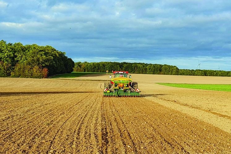 Difficile de choisir son semoir face à une offre commerciale très étendue. Quelques conseils de Sébastien Descamps, expert du sujet à la Chambre d’agriculture de la Somme. 