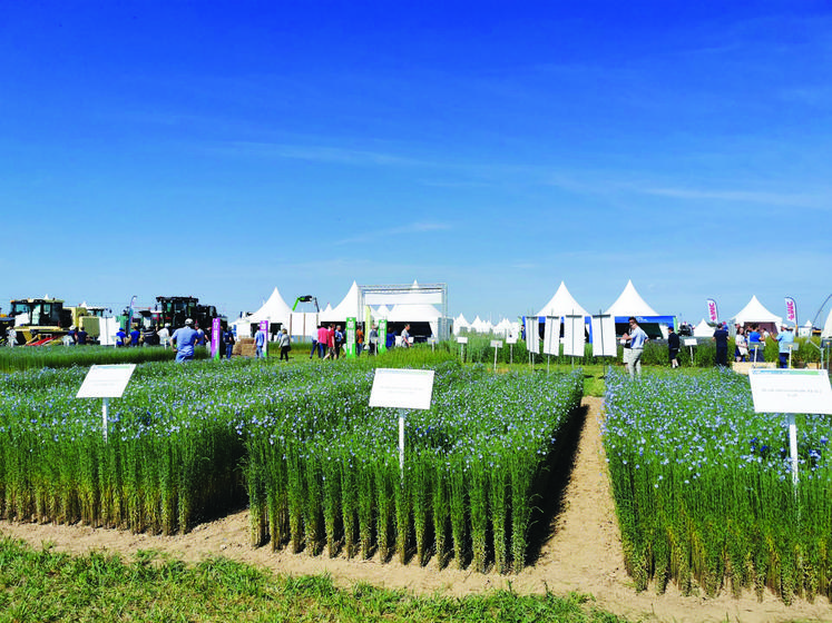 Sur 7 hectares, démonstrations, parcelles d’essais  et ateliers techniques