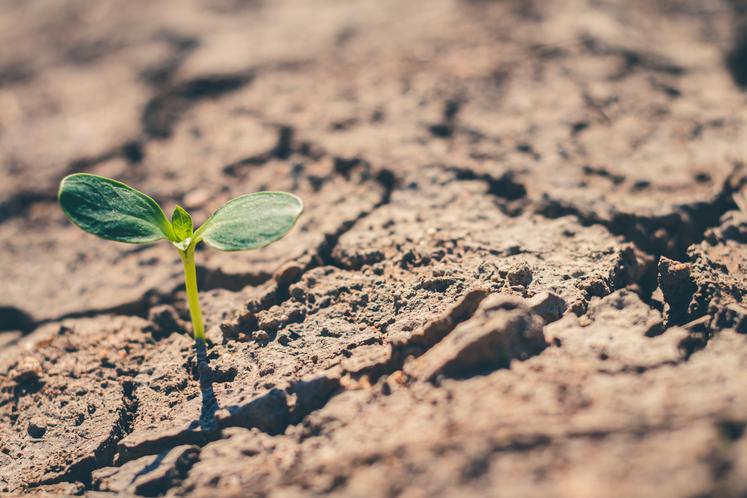 assurance multirisque climatiques