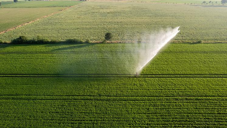 irrigation de grandes cultures