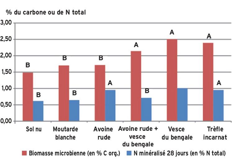 Biomasse microbienne (en % du carbone organique) et azote minéralisé en 28 jours (en % de l'azote total) selon différents types de couverts.