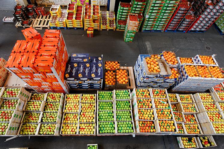 Dans l’entrepôt de fruits et légumes, ce sont 12 grossistes qui vendent en moyenne 380 tonnes par jour, dont 60 % de fruits et 40 % de légumes.