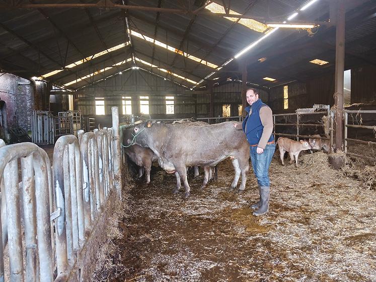 Bertrand Coguichard, a démarré la constitution de son troupeau allaitant avec une dizaine de vaches bazadaise dès 2013 en complément de ses 80 laitières.