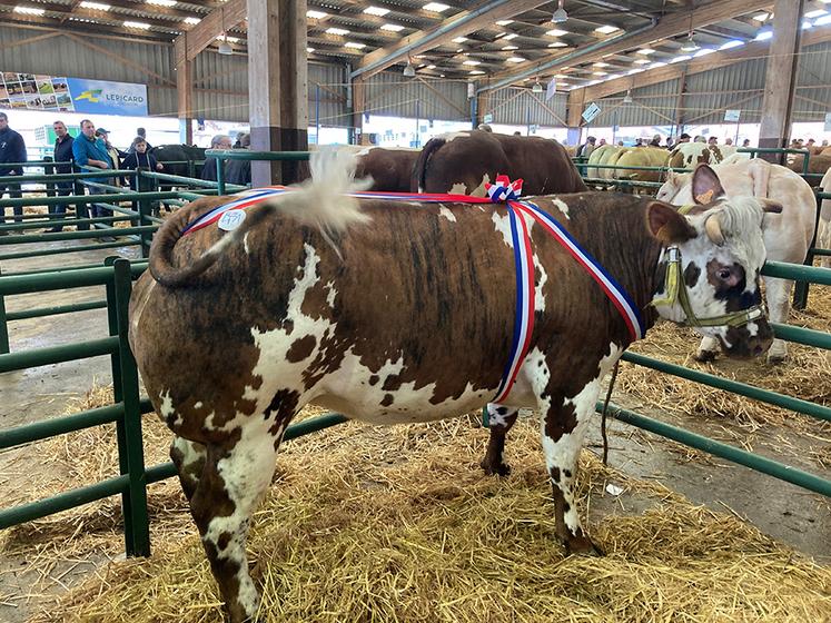 Prix du département revenant à la génisse normande de Joël Chesnot.