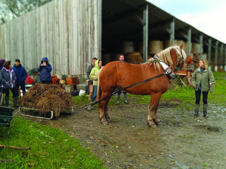 Certaines fermes pratiquent déjà la traction animale.