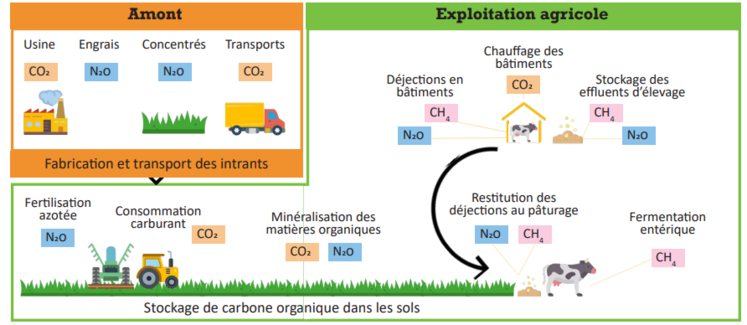Le dioxyde de carbone (CO2), le méthane (CH4) et le protoxyde d’azote (N2O) ont des contributions à l’effet de serre différentes. Ces distinctions sont caractérisées par le pouvoir de réchauffement global (PRG), dont l’unité de référence est l’équivalent CO2 (éqCO2). Par exemple, l’émission de 1 kg de CH4 a le même effet que celle de 28 kg de CO2 (contre 273 kg de CO2 pour 1 kg de NO2 émis).