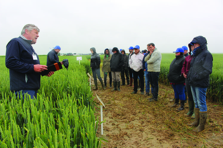 Visite des essais conduits avec ou sans digestat et l'utilisation des produits Timac Agro destinés à assurer une meilleure utilisation par les plantes des nutriments contenus dans le sol ou apportés par l'agriculteur.