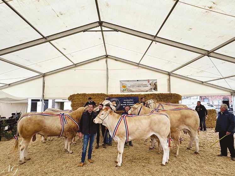 De nombreux éleveurs du Grand Ouest ont participé à ce concours interrégional de la race à Forges-les-Eaux.