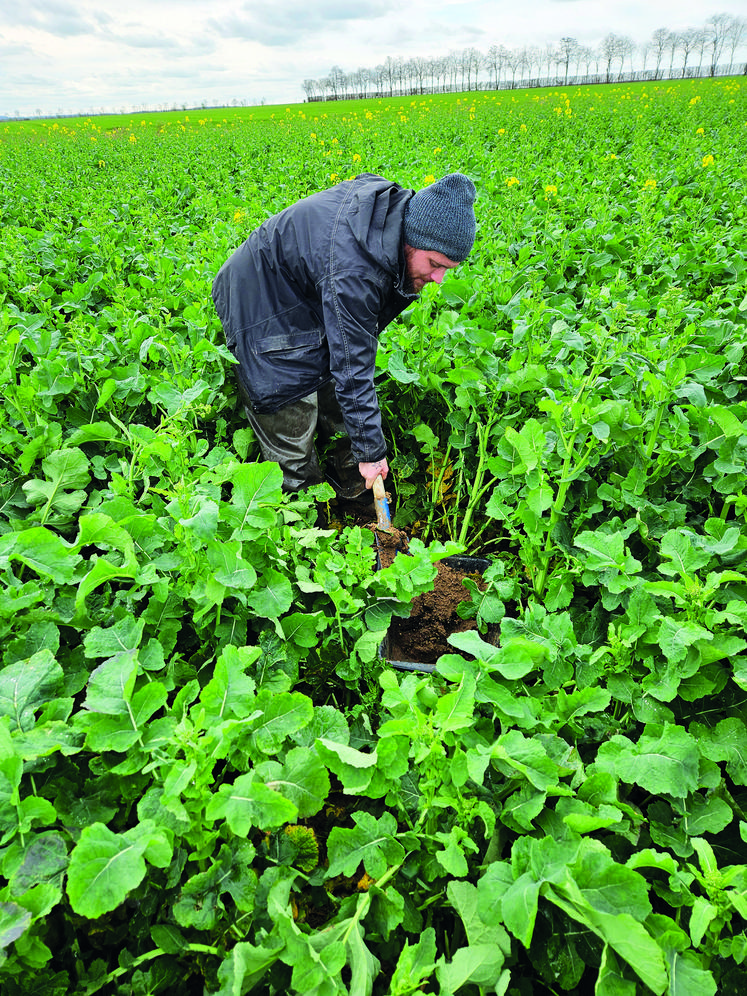 Julien Benoist, chargé de mission biodiversité et agriculture chez FNE Normandie, réalisant le protocole vers de terre.