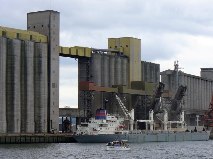 " Il nous faut proposer des qualités adaptées aux marchés internationaux, disposer de volumes réguliers à l'exportation. Les clients aiment bien le blé français car il est régulier, en termes de quantité"