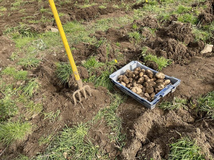 Depuis 2013, Solaal Normandie a versé plus de 800 tonnes de dons alimentaires.