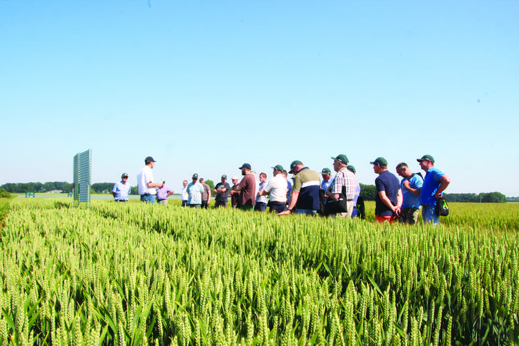 Entre 80 et 100 agriculteurs ont participé à la journée Optipro du 25 juin à Fauville-en-Caux.