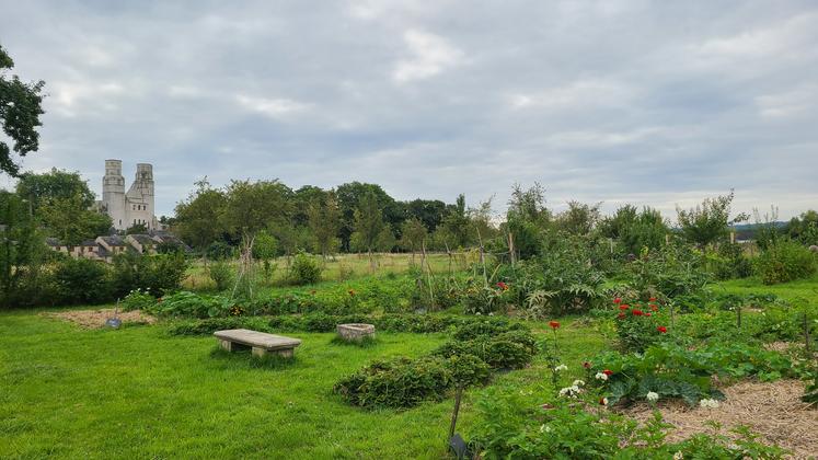 Le jardin partagé avec l'association Terres de Jumièges, au pied de l'abbaye à la chèvrerie du Courtil, est un espace vivant de 1 500 m2 où les membres de l'association cultivent ensemble fruits, légumes et liens sociaux, avec 350 kilos de récoltes pour la première année.