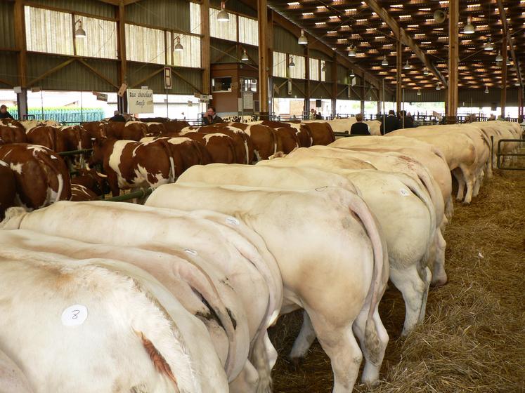 Archive du Festival de la viande sur le foirail de la ville de Forges-les-Eaux.