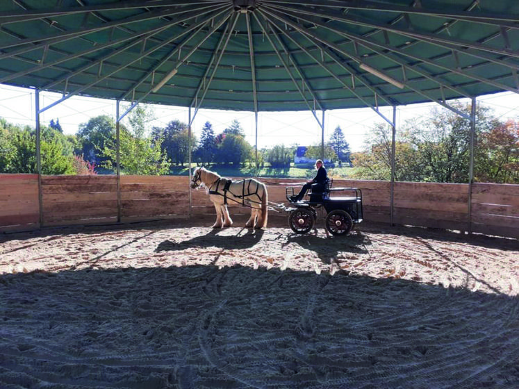 Le manège offre un espace sécurisé pour des interactions directes entre les participants et les animaux. Il facilite des exercices de thérapie équestre et de médiation animale adaptés.