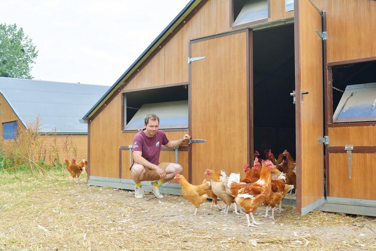 La Ferme du Pays élève chaque année 10 000 poulets de chair en plein air.