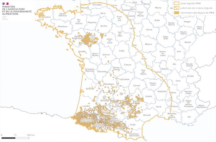 Foyers de MHE par département, saison vectorielle 2024/2025.
Au 19 septembre, on compte 1 160 foyers (depuis le 01/06/2024).
+ 379 nouveaux foyers en une semaine.
Sources : Masa (19 septembre 2024), ING (Adminexpress, 2024). © EuroGeographics 2024. Édition le 19/09/2024.