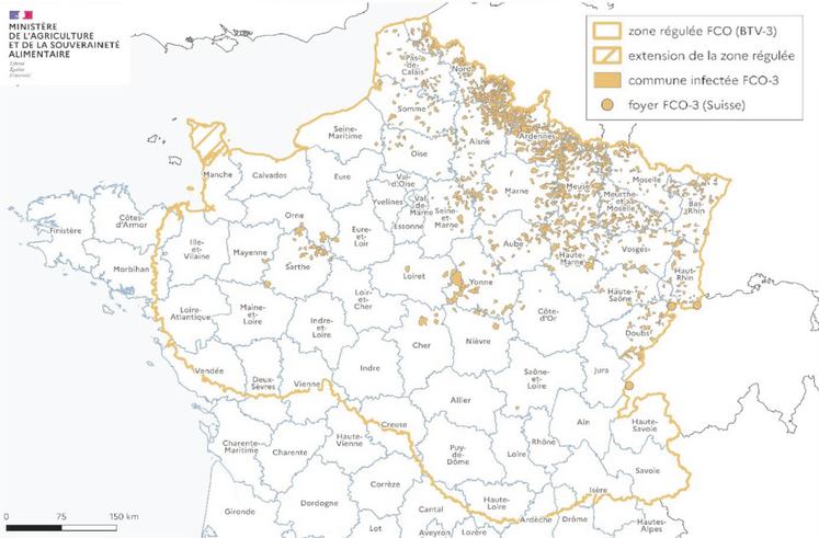 FCO BTV3. Situation et zone régulée au 19 septembre : 2 812 foyers (depuis le 05/08/2024).
À ce jour, 2 foyers dans l'Orne et 1 foyer en Seine-Maritime ont été déclarés.
Sources : Masa (19 septembre 2024) et Omsa (29 août 2024), IGN (Adminexpress, 2024) © EuroGeographics 2024. édition le 19/09/2024.