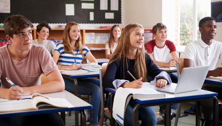 Le taux net d'emploi des élèves trois ans après l'obtention de leur diplôme est de 80,7 % pour les titulaires d'un Capa et de 95 % pour les étudiants en BTSA.