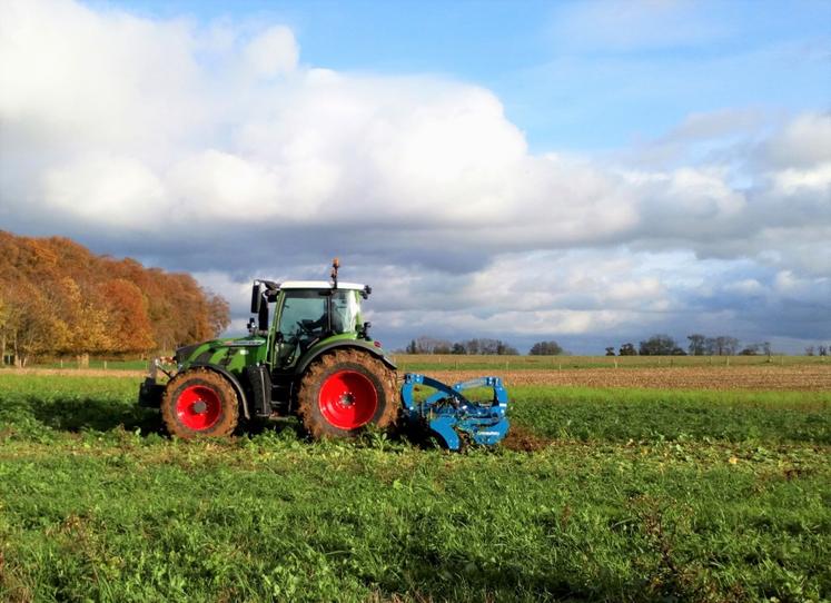 Parmi les pratiques d'adaptation : l'utilisation de couverts végétaux pour protéger le sol contre la chaleur ou la pluie et améliorer sa structure.