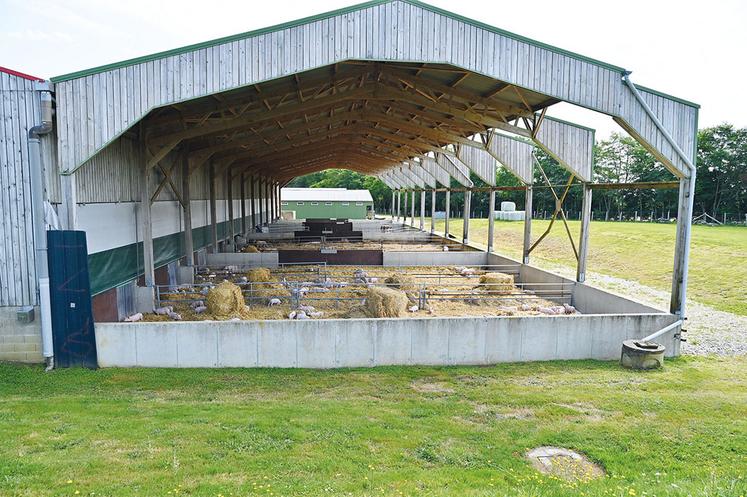 Avec ses 1 400 places à l’engraissement, la porcherie abrite quatre races de porcs : large white, landrace, piétrain et duroc.