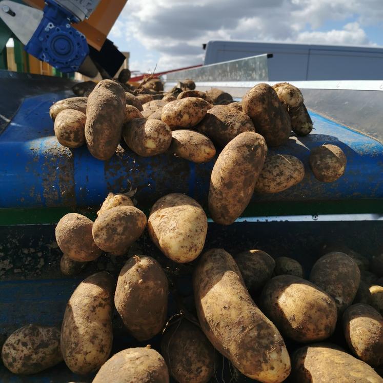 Pour 2030, il faudra produire 40 millions de tonnes supplémentaires en Europe.