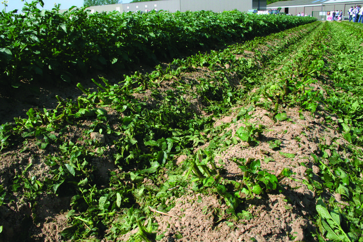 Des partenaires du secteur agricole s'engagent pour réduire l'utilisation et l'impact des produits phytosanitaires.