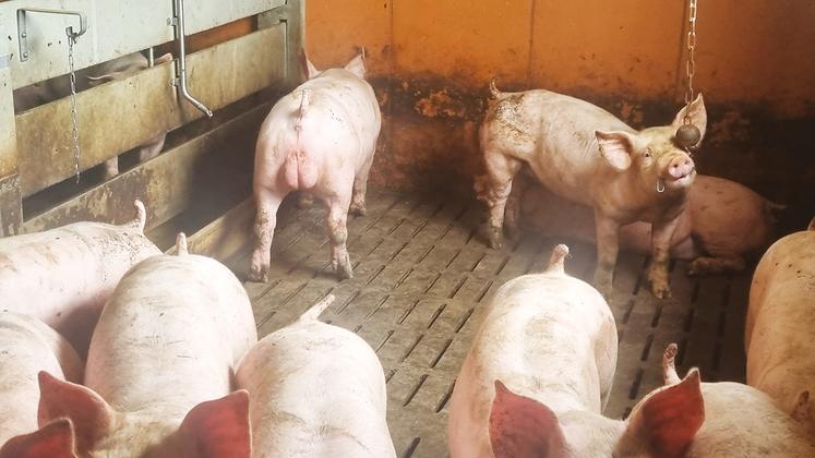 Pour l’élevage, les retombées économiques sont positives.