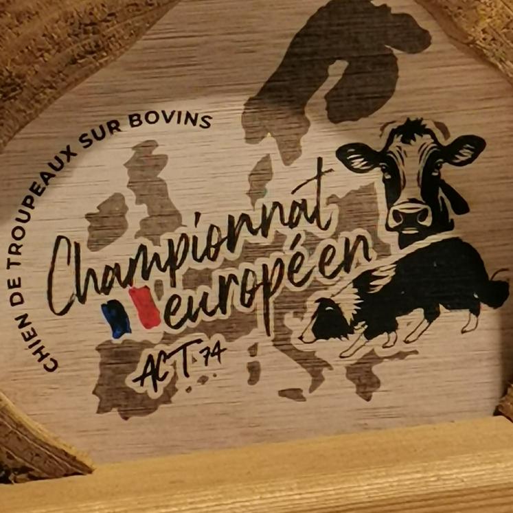 La 4e édition du Championnat d'Europe de chiens de troupeau sur bovins s'est déroulée en Haute-Savoie.