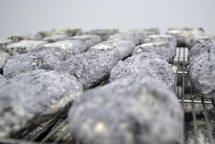 Le nom du galet d’Albâtre a été inspiré par les galets qui recouvrent les plages des côtes seinomarines, un clin d’œil au patrimoine dans chaque bouchée !