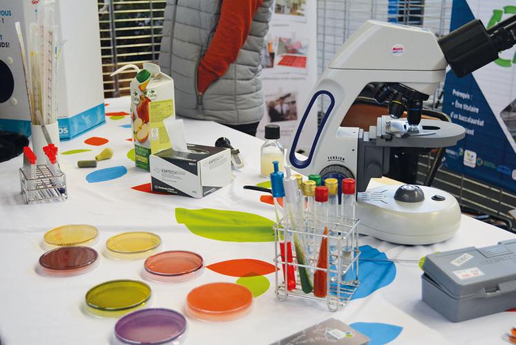 L’agriculture rime avec science et innovation.