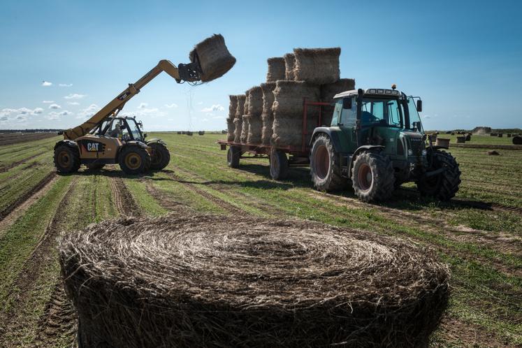 Si chacun garde 20 à 30 % de sa récolte dans son bâtiment, les prix seront plus faciles à maintenir.