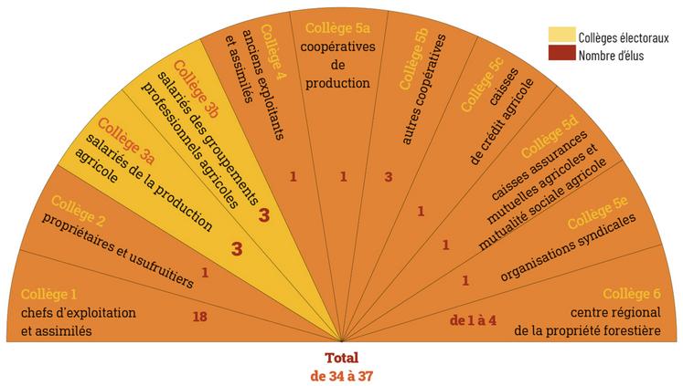 Répartition des différents collèges électoraux qui composent la session d'une Chambre départementale et territoriale.