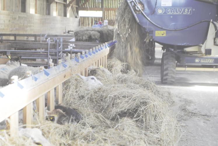 Une partie des enrubannages présente un taux de matière sèche insuffisant.