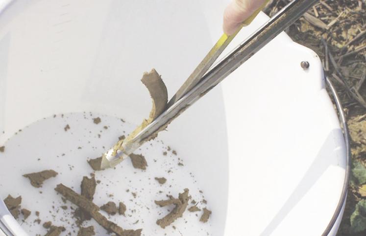 Mesurez les reliquats azotés en sortie d'hiver.