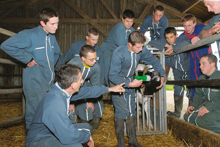 L’enseignement agricole compte plus de 800 établissements répertoriés sur Parcoursup.