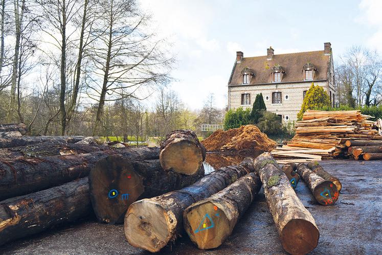 Unique en Normandie, le Lycée des métiers du bois et de l’éco-construction d’Envermeu propose une formation bac pro technicien de scierie.