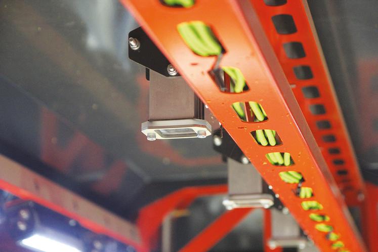 Le modèle de 2,40 mètres dispose de cinq caméras de haute qualité, installées dans une chambre fortement éclairée.