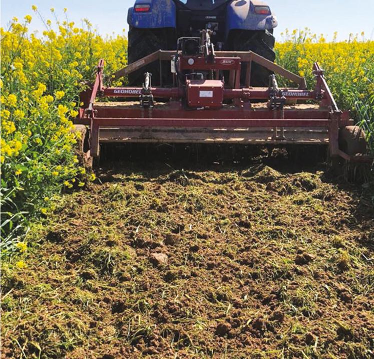 Destruction du couvert d’été.