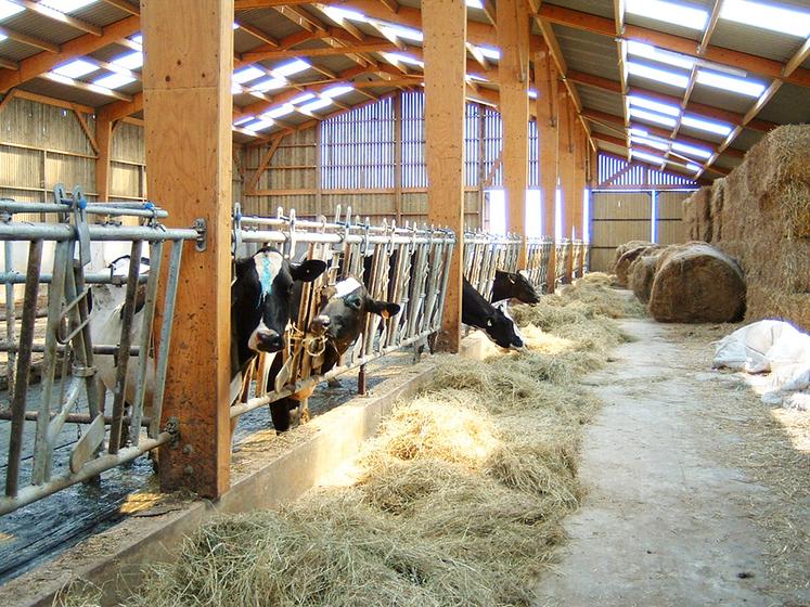 Une bonne ventilation du bâtiment permet d’éliminer les agents infectieux.