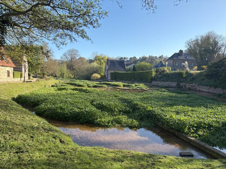 La cressonnière à reprendre est installée dans un cadre magnifique, au pied de la source de la Veules.