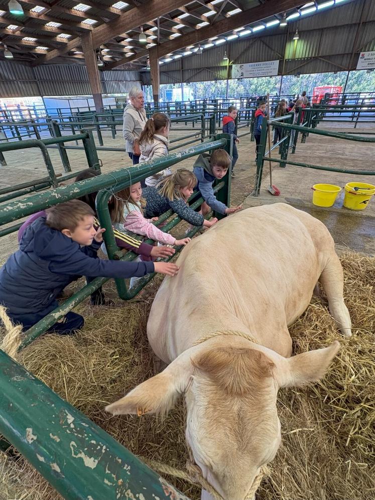 Christine Lesueur, mairesse de Forges-les-Eaux, avait proposé au centre de loisirs de venir voir les animaux. Un grand succès.