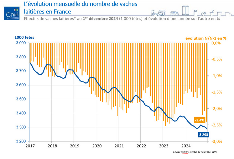 Évolution mensuelle du nombre de vaches laitières en France. Effectifs au 1er décembre 2024 (1 000 têtes) et évolution d'une année sur l'autre en pourcentage.